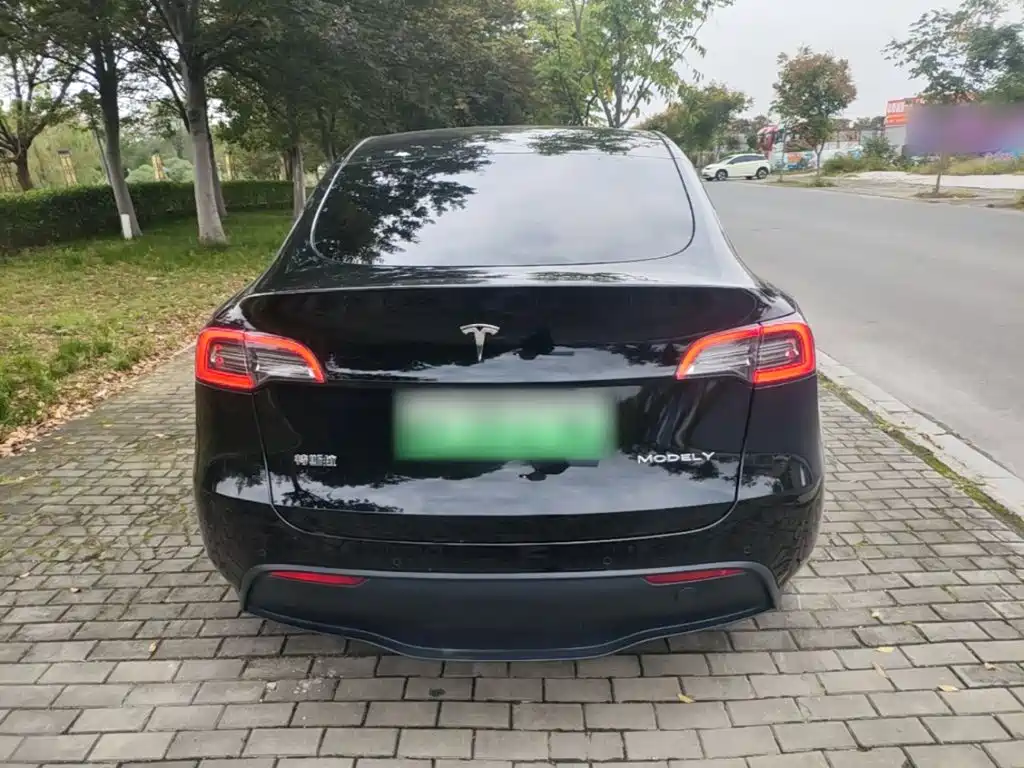 Tesla Model Y — миниатюра 6