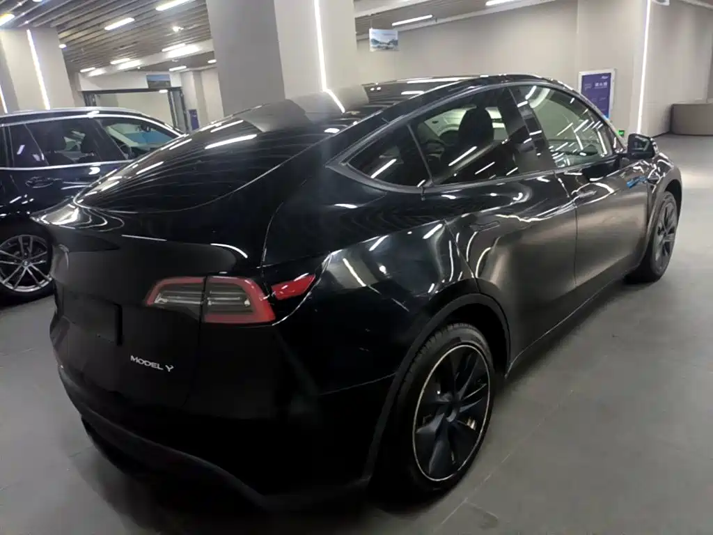 Tesla Model Y — миниатюра 7