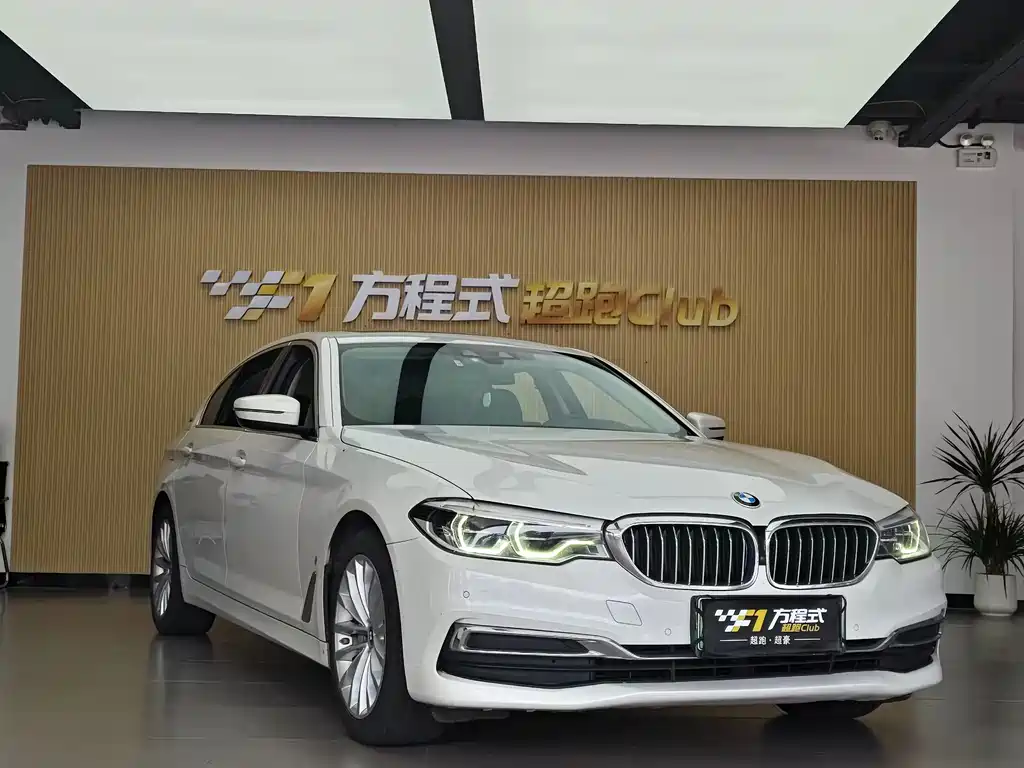 BMW 5 Series 5 2019 530Le Luxury