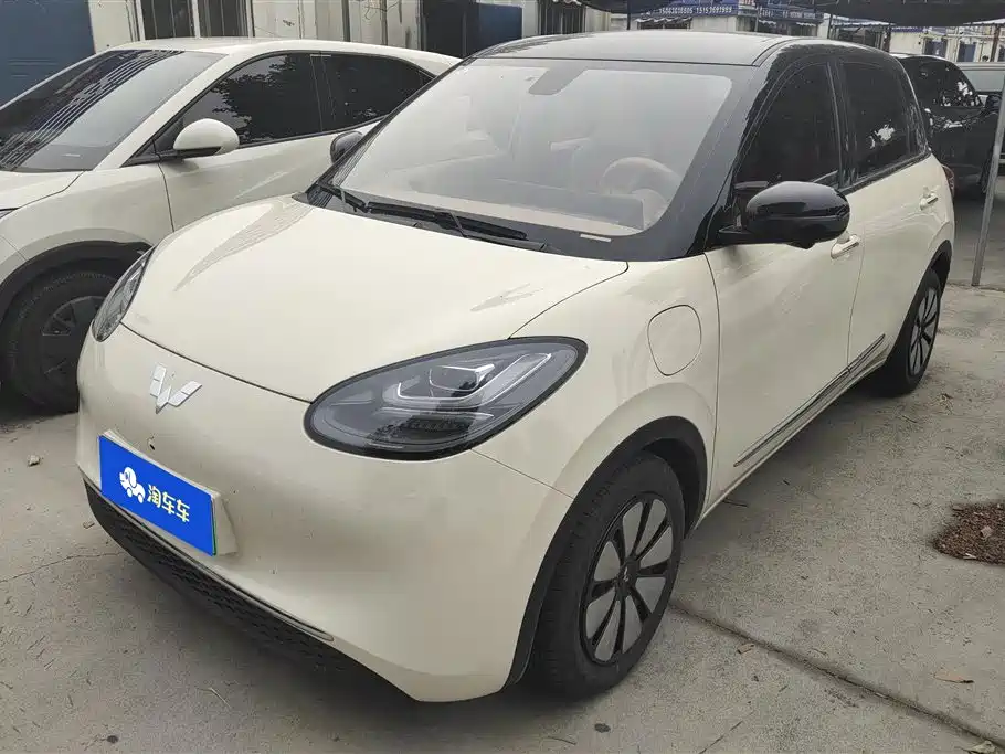 Wuling Binguo 2024 410km Premium