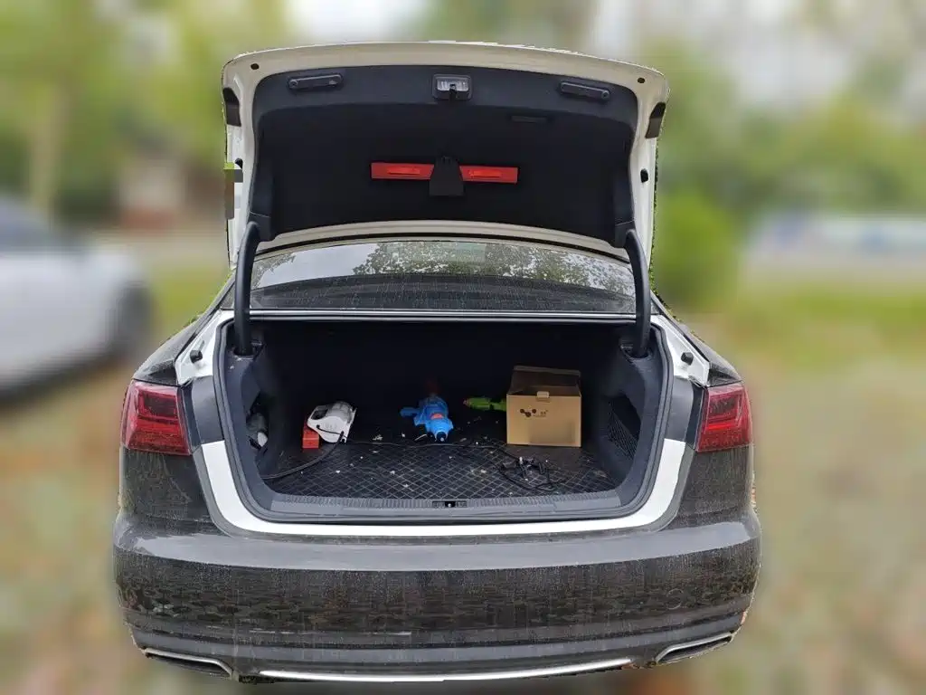 Audi A6L — миниатюра 15