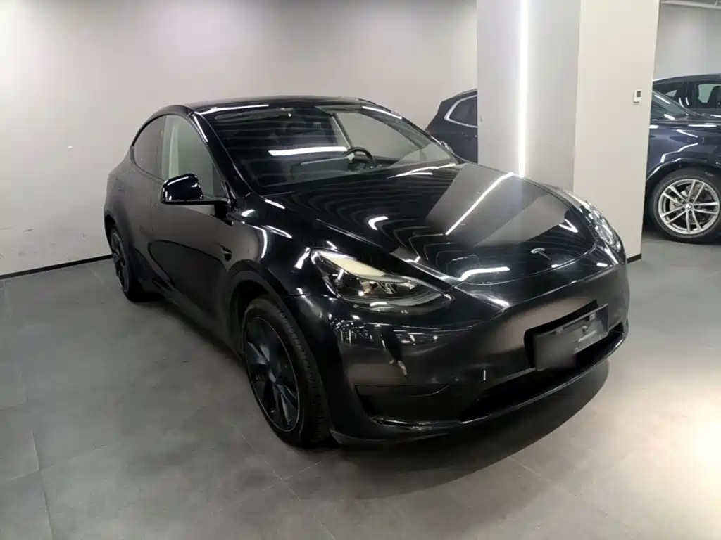 Tesla Model Y — миниатюра 4