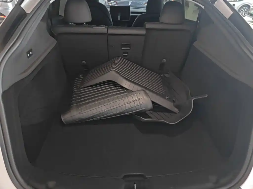 Tesla Model Y — миниатюра 19
