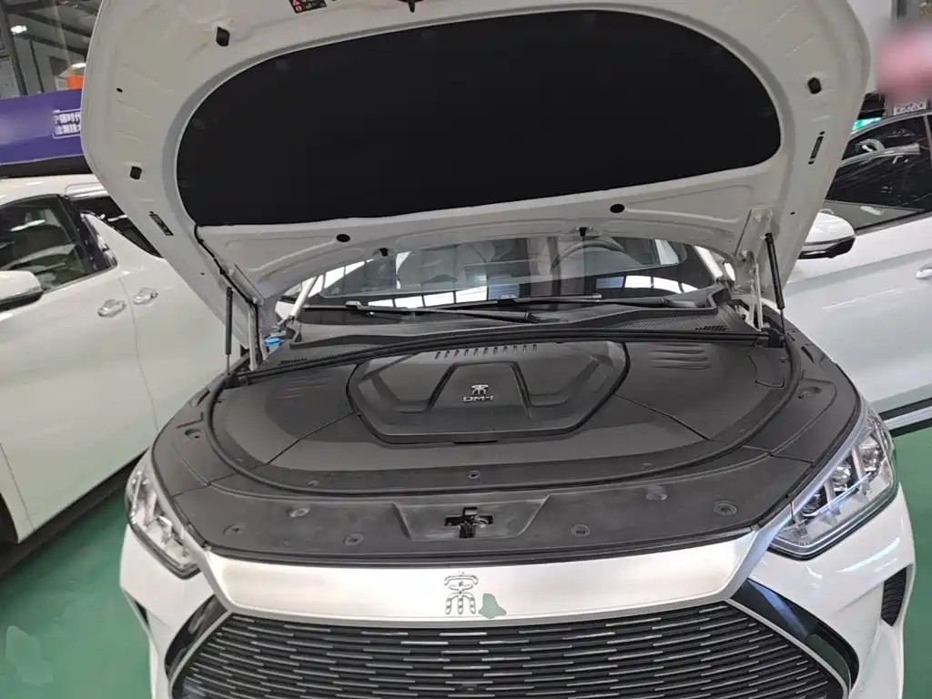 BYD PLUS New Energy — миниатюра 20