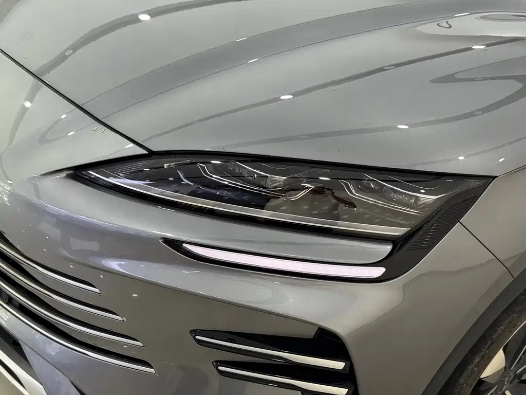 BYD PLUS New Energy — миниатюра 3