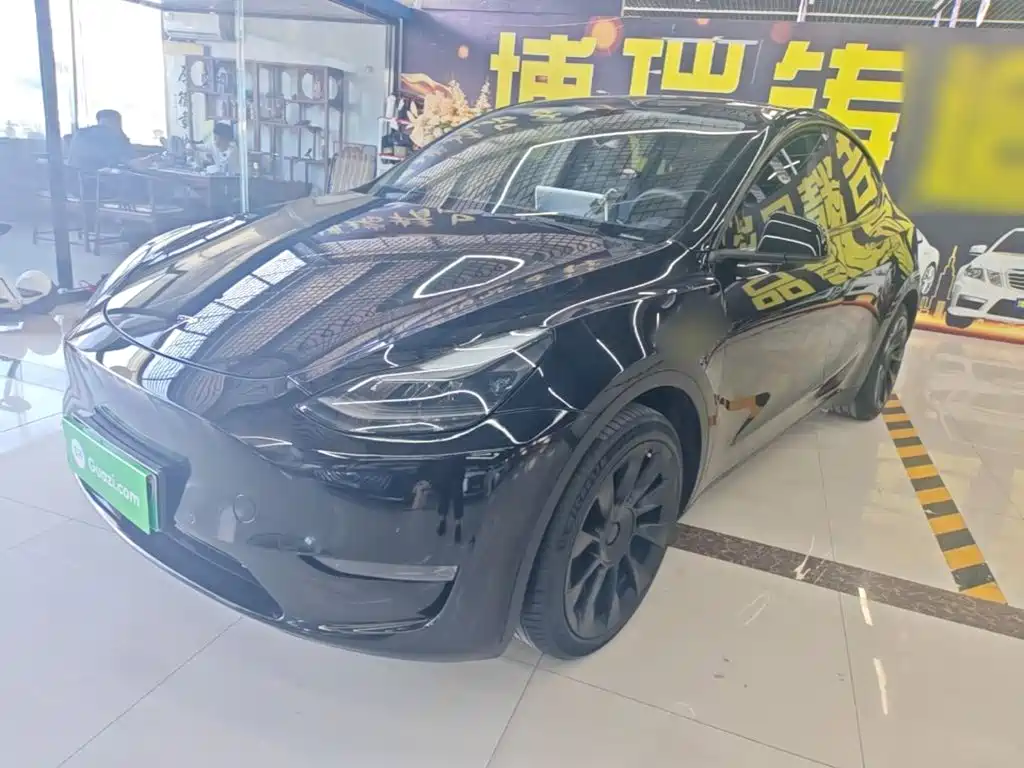 Tesla Model Y — миниатюра 2