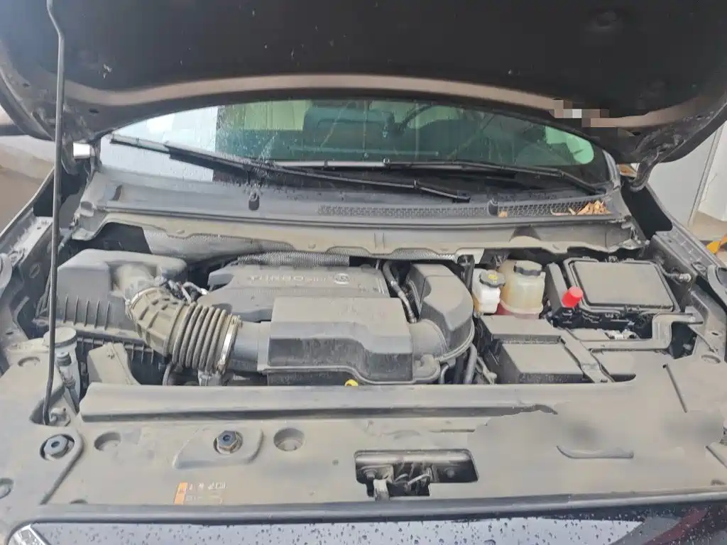 Buick GL8 — миниатюра 16