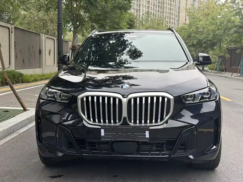 BMW X5 — миниатюра 2