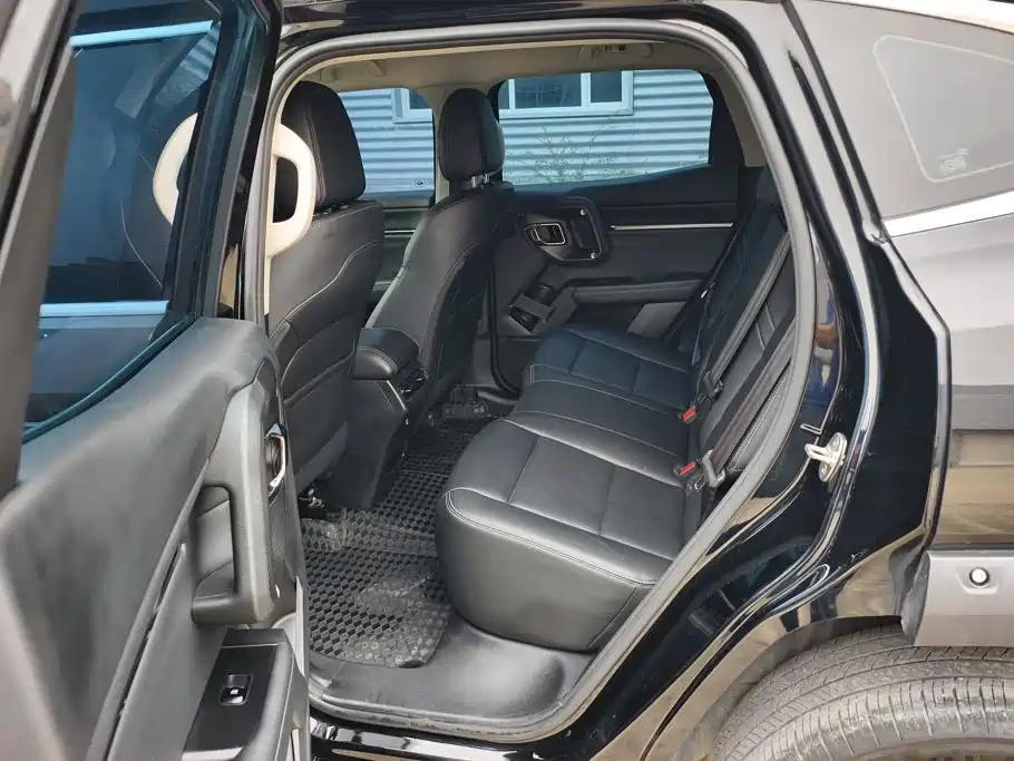 Haval Big Dog PLUS — миниатюра 11