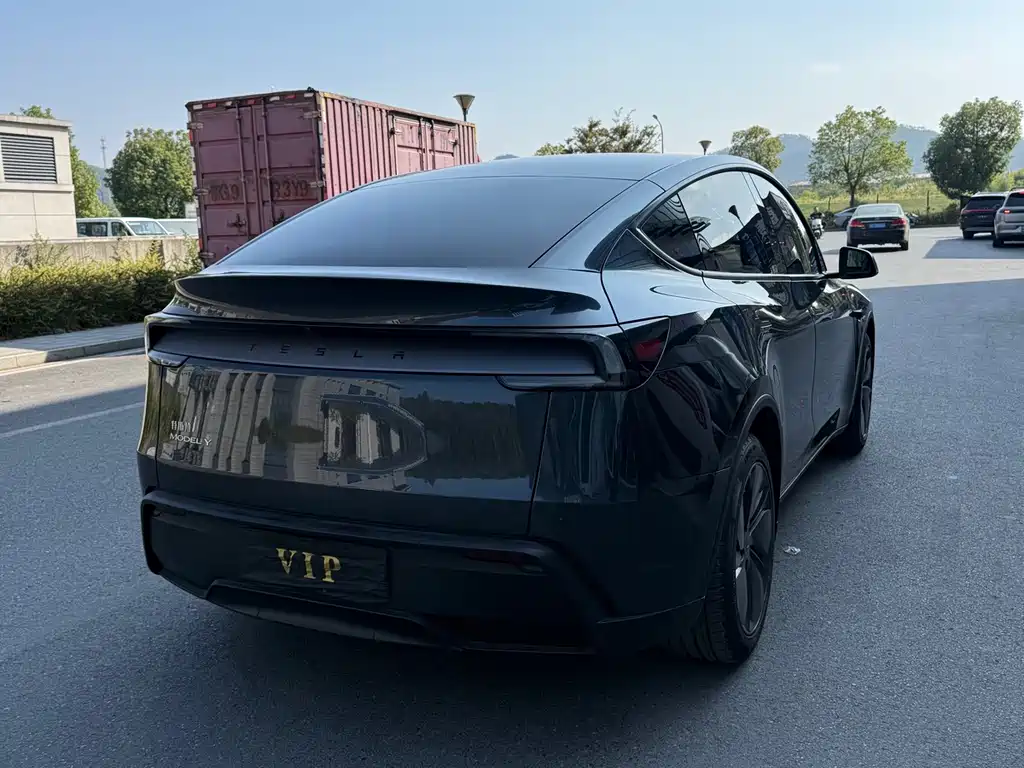 Tesla Model Y — миниатюра 4