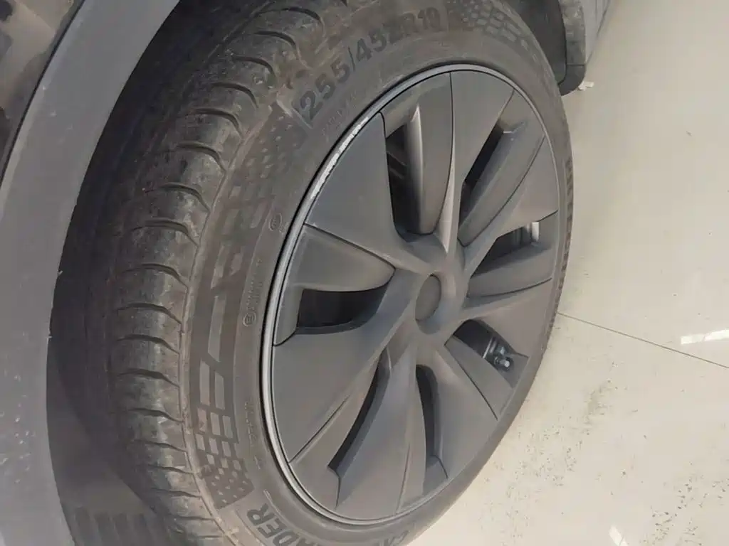Tesla Model Y — миниатюра 23
