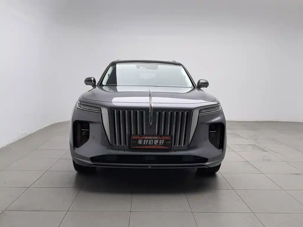 Hongqi Hongqi E-HS9 — миниатюра 3