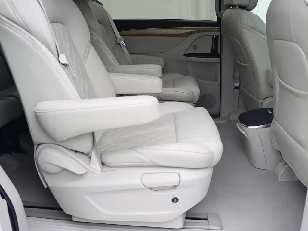 Buick GL8 — миниатюра 12