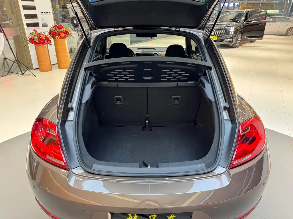 Volkswagen Beetle 280TSI, фото 9