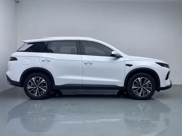 BYD Pro New Energy — миниатюра 8