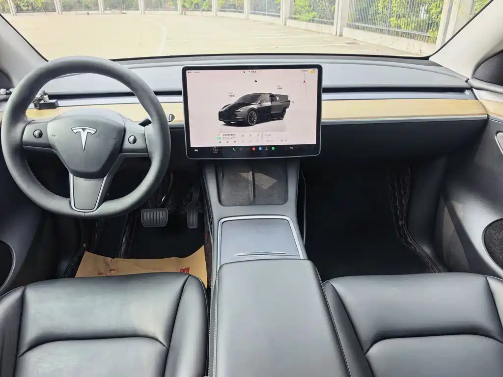 Tesla Model Y — миниатюра 7