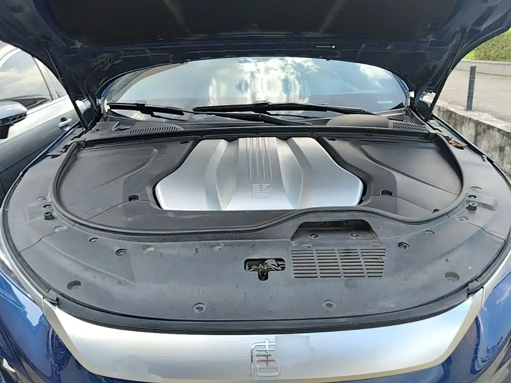 BYD Tang New Energy — миниатюра 20
