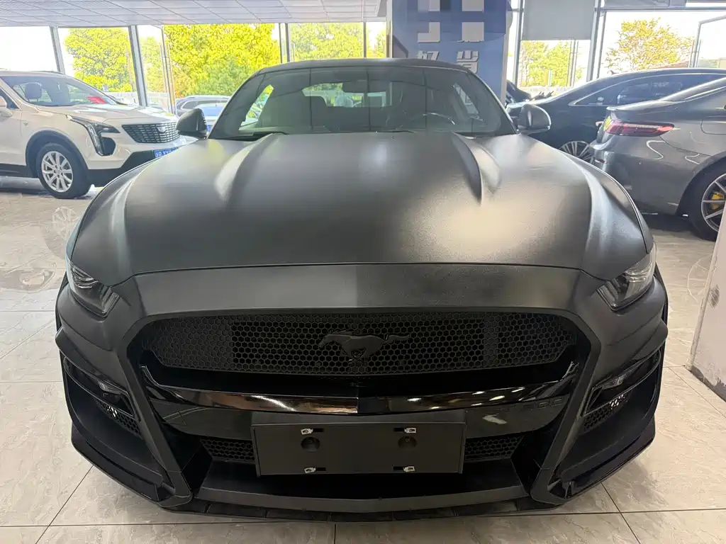 Ford Mustang — миниатюра 2