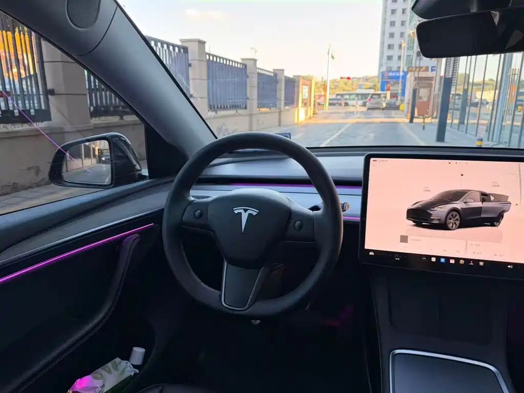 Tesla Model Y — миниатюра 6