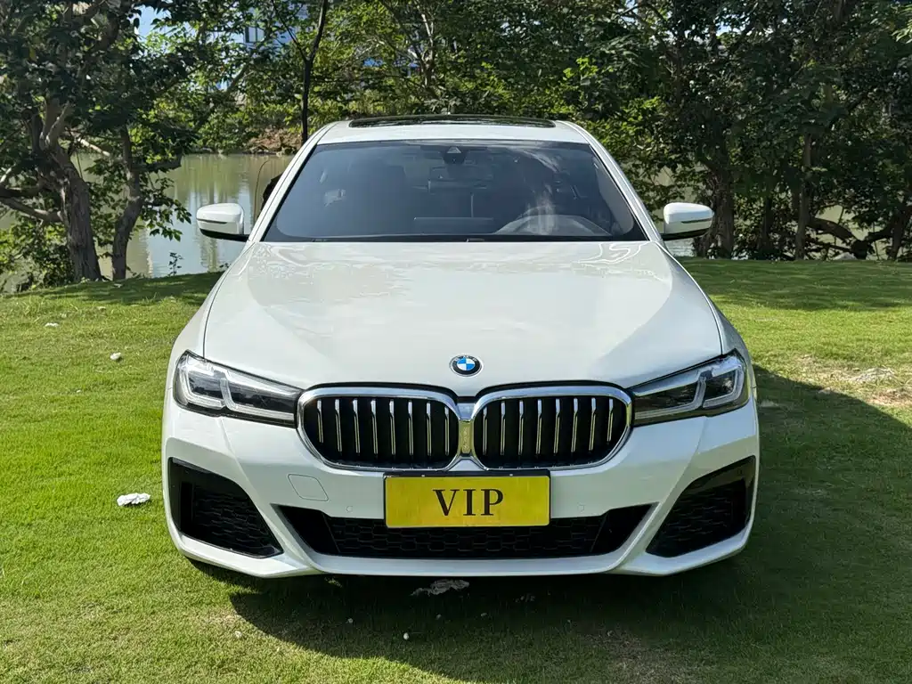 BMW 5 Series — миниатюра 2