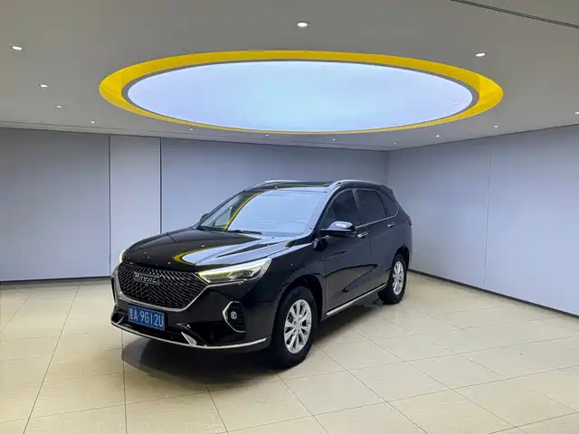2022 Haval M6