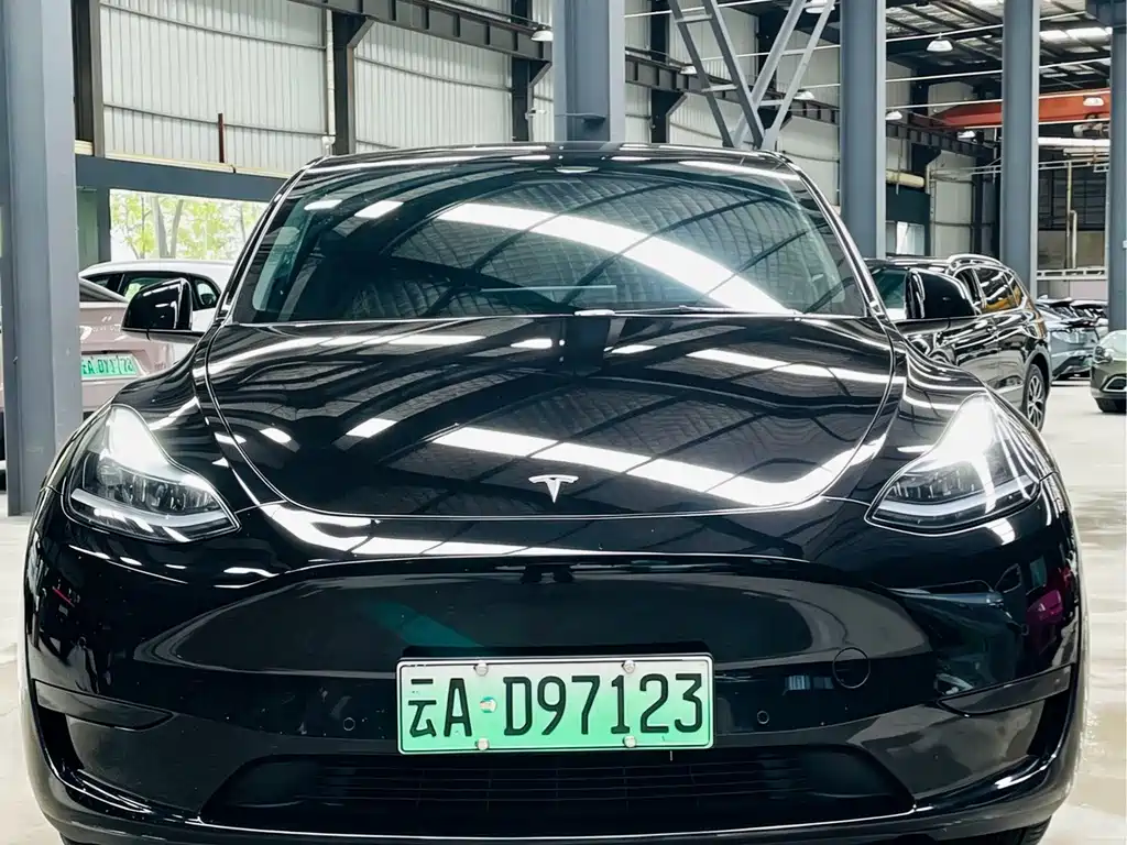 Tesla Model Y — миниатюра 2