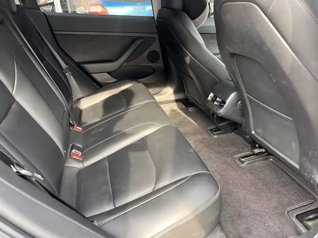Tesla Model 3 2021 3D6