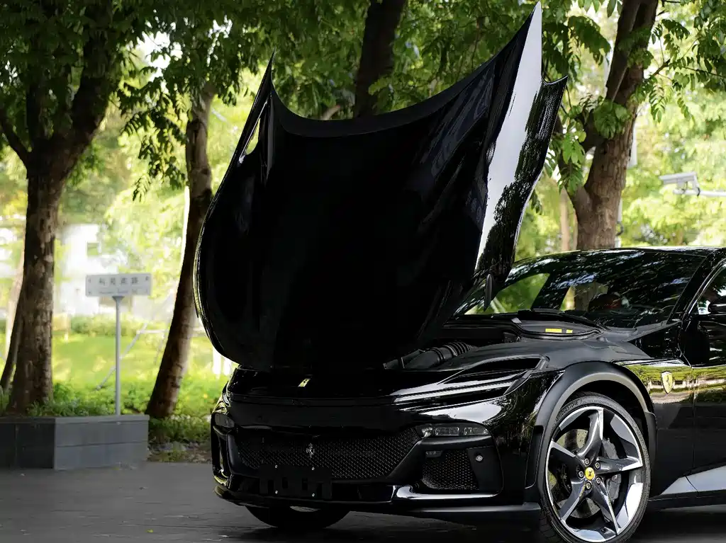 Ferrari Purosangue — миниатюра 11