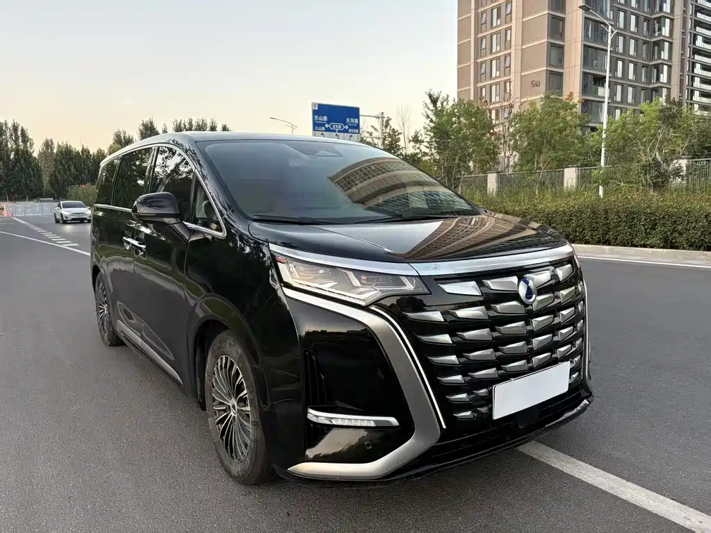 Denza Denza D9 — миниатюра 3