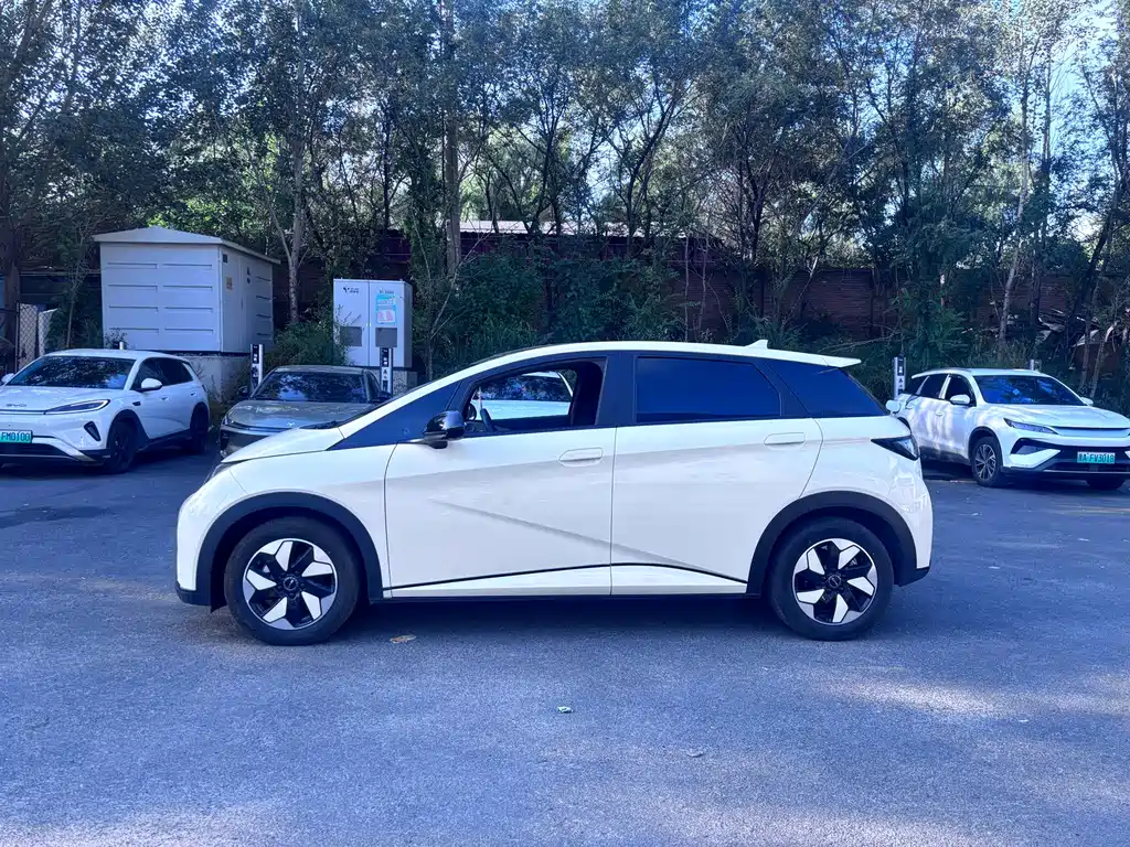 BYD Dolphin — миниатюра 4