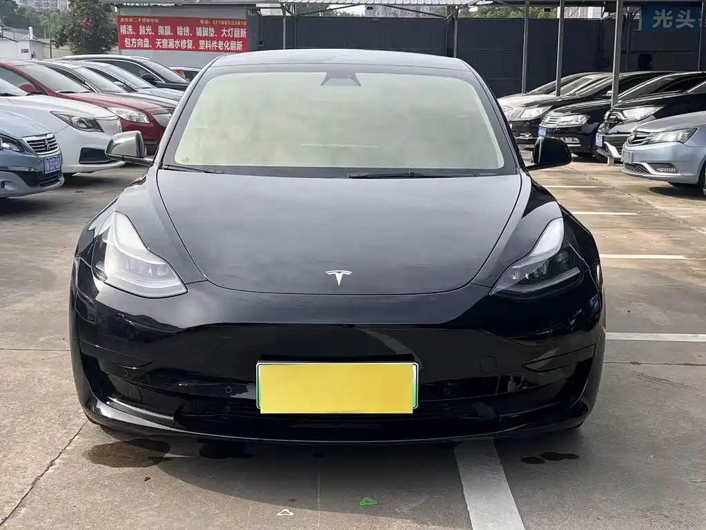 Tesla Model 3 2021 3D6