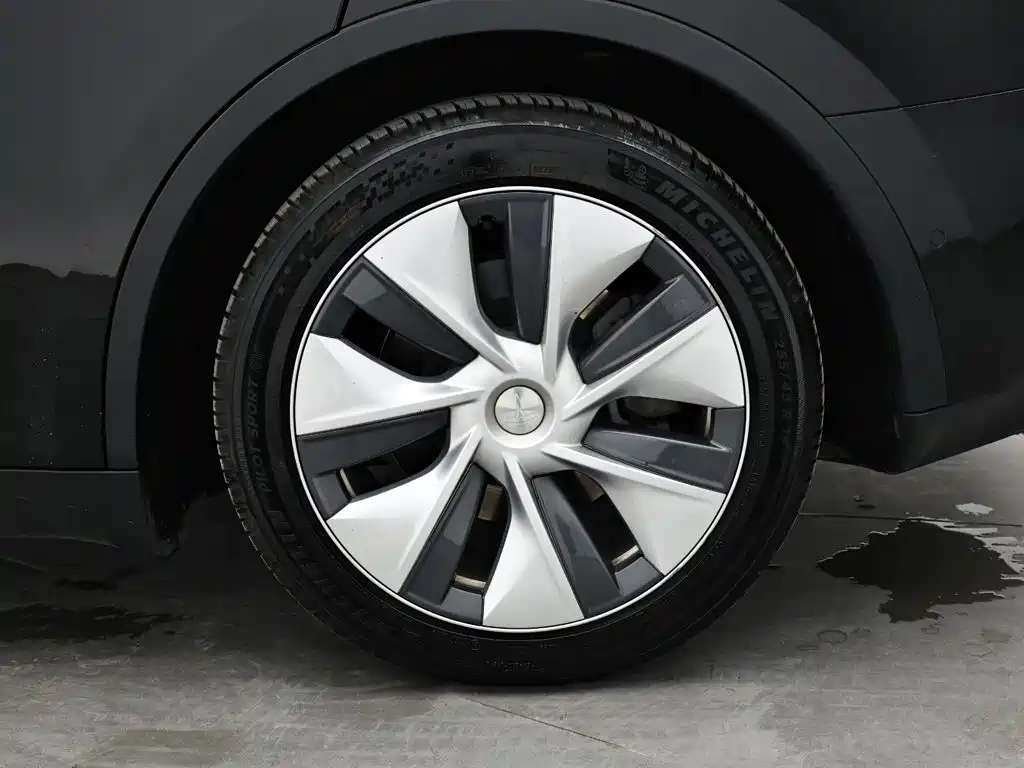 Tesla Model Y — миниатюра 11