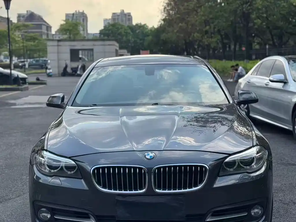 BMW 5 Series 5 2014 525Li Lead