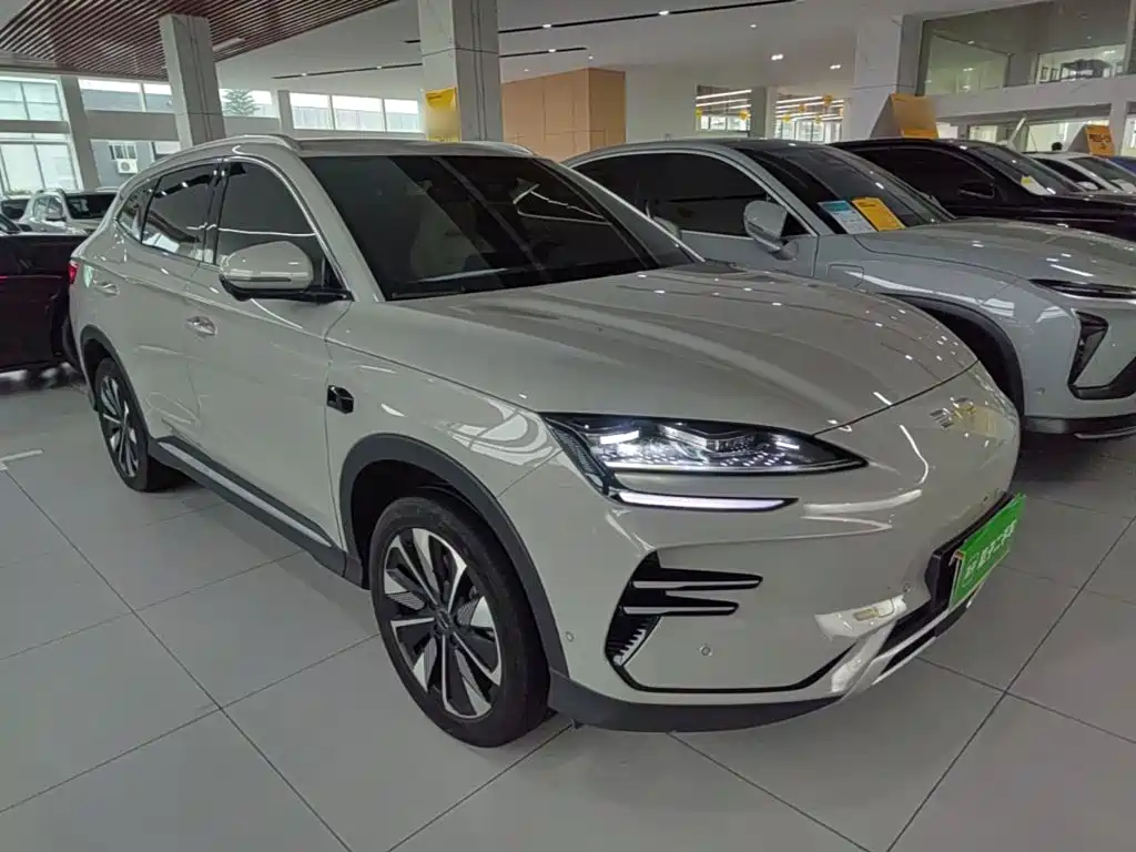 BYD PLUS New Energy — миниатюра 4