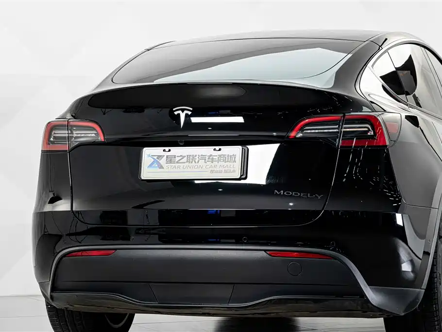 Tesla Model Y — миниатюра 8