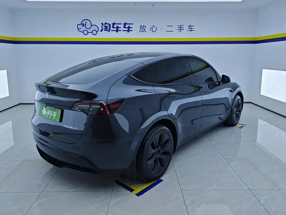 Tesla Model Y — миниатюра 3