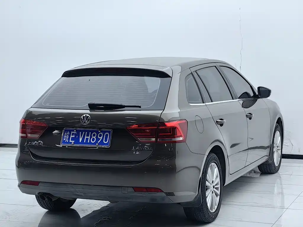 Volkswagen Gran Lavida — миниатюра 14