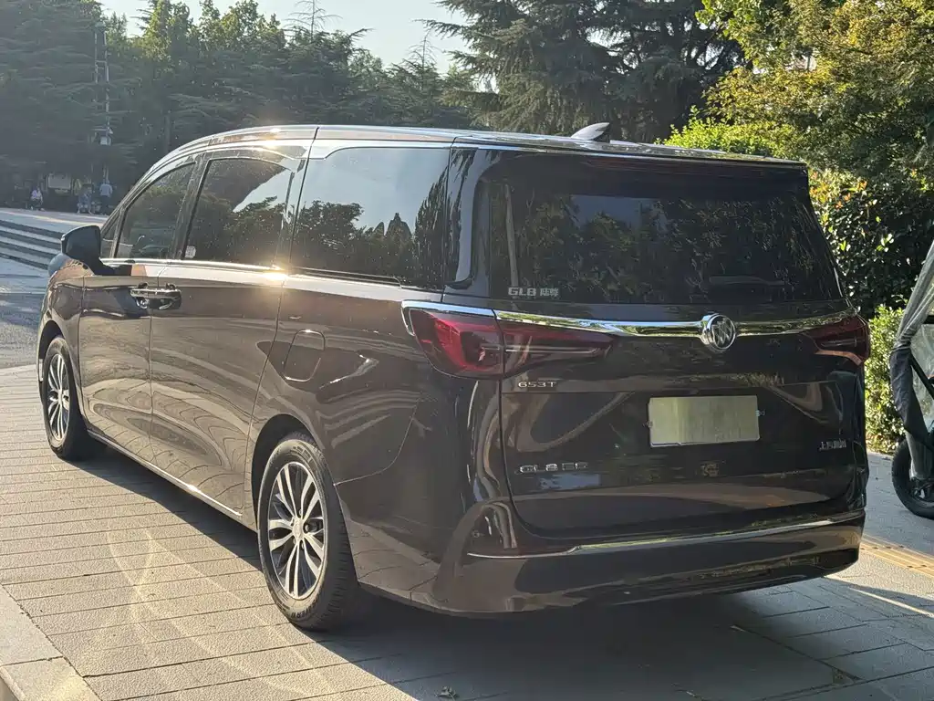 Buick GL8 — миниатюра 7