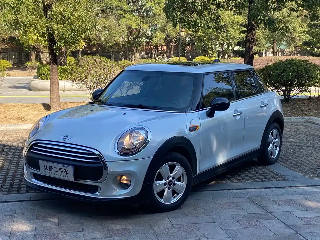 Mini Mini 2016