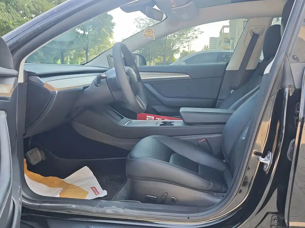 Tesla Model 3 — миниатюра 6