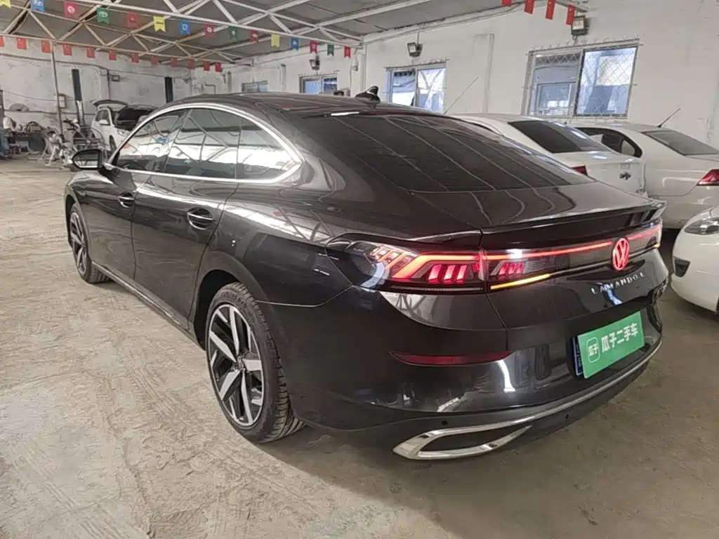 Volkswagen Lamando — миниатюра 5