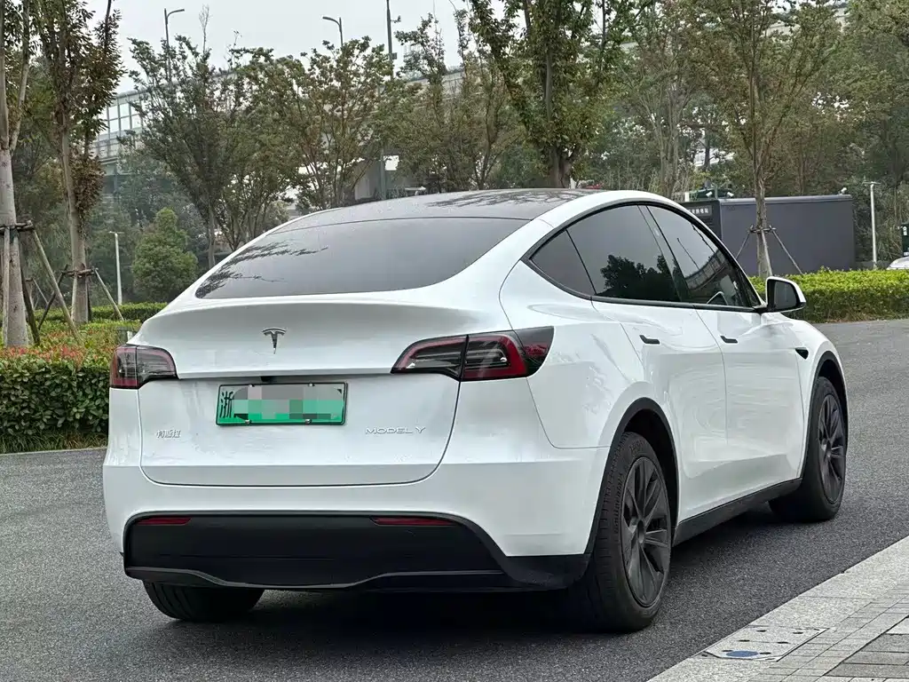 Tesla Model Y — миниатюра 6