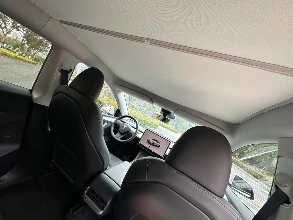 Tesla Model Y — миниатюра 12