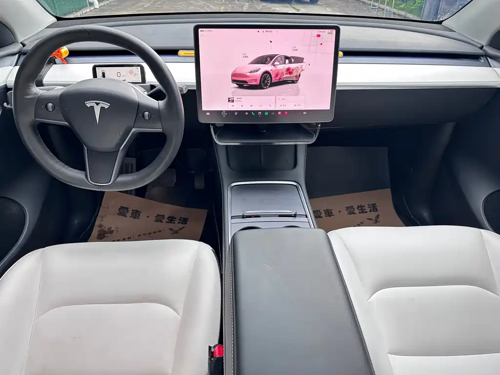 Tesla Model Y — миниатюра 18