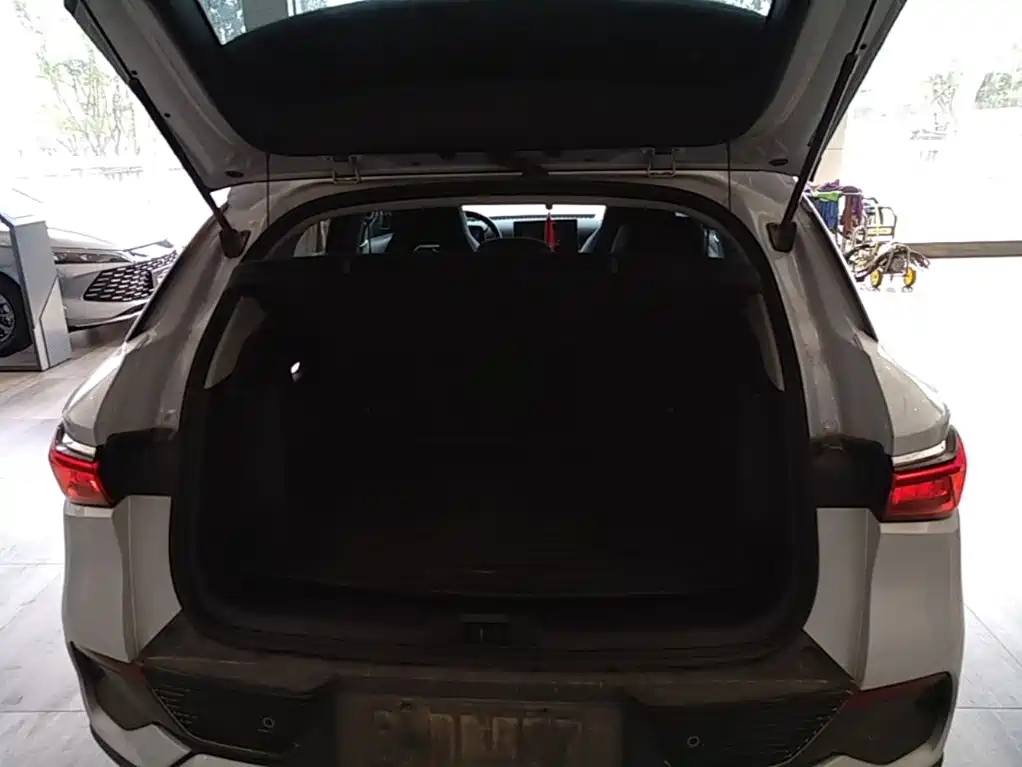 BYD Yuan Plus — миниатюра 19