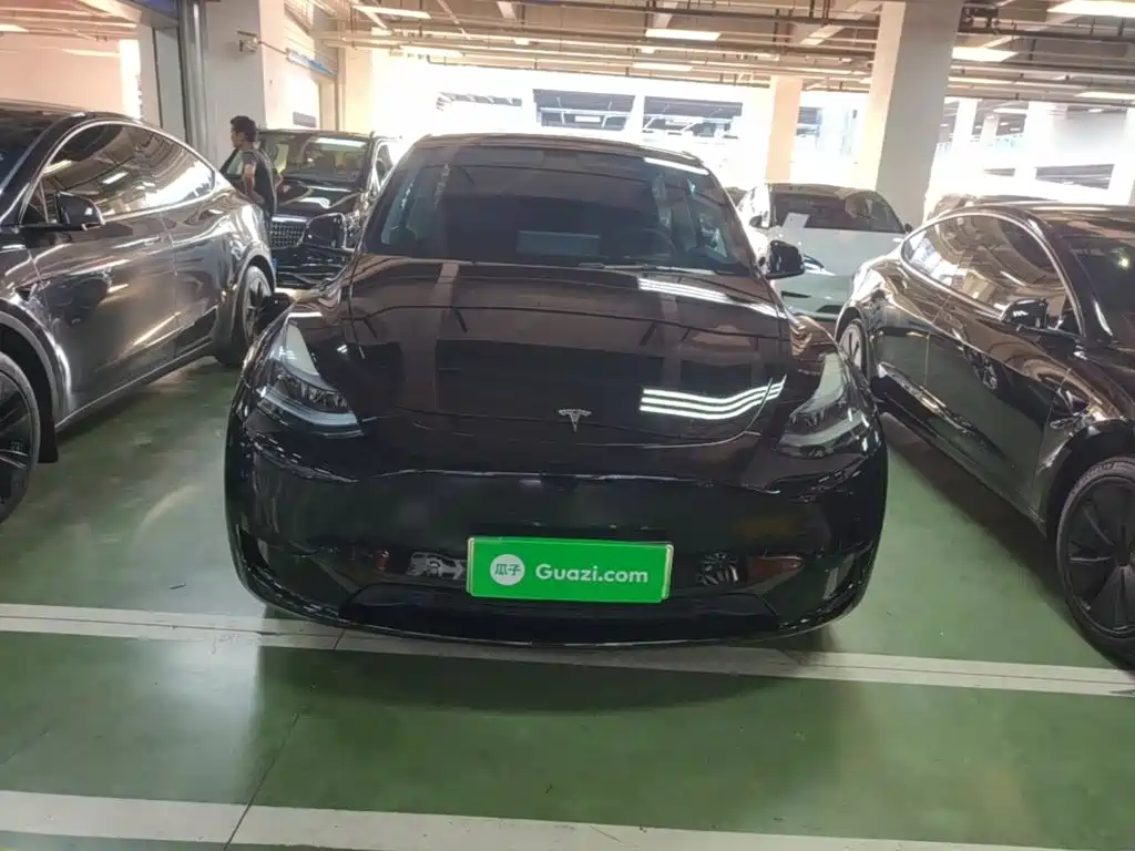 Tesla Model Y — миниатюра 3