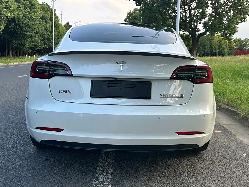 Tesla Model 3 — миниатюра 9