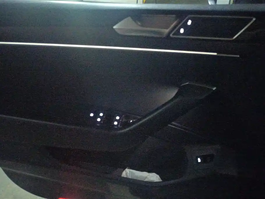 Volkswagen Magotan 2020 380TSI DSG Luxury