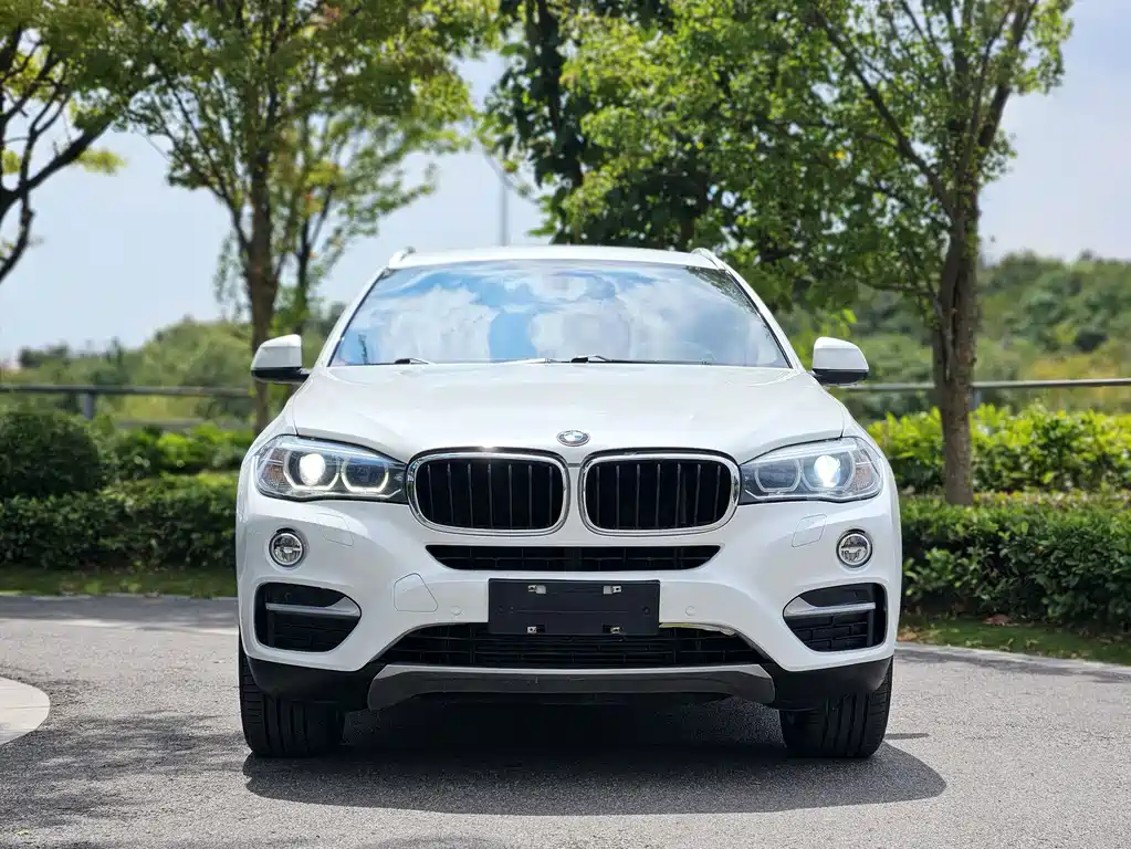 BMW X6 — миниатюра 2