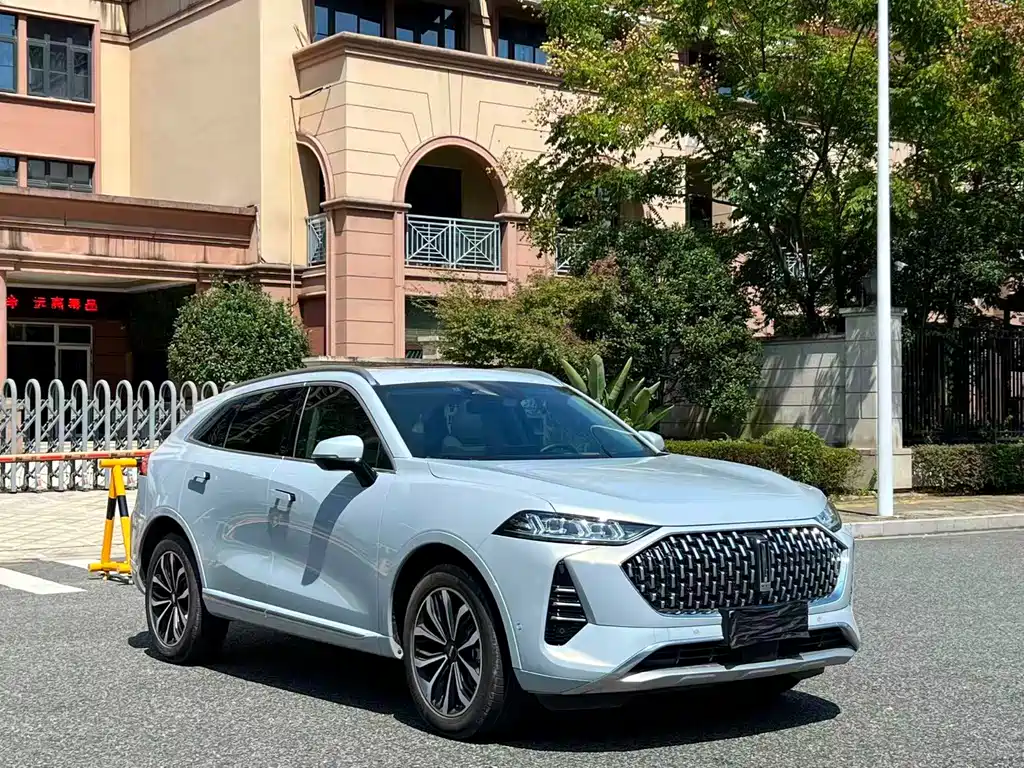 WEI PAI WEI BRAND MOCHA